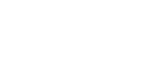 Burgex Logo